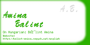 amina balint business card